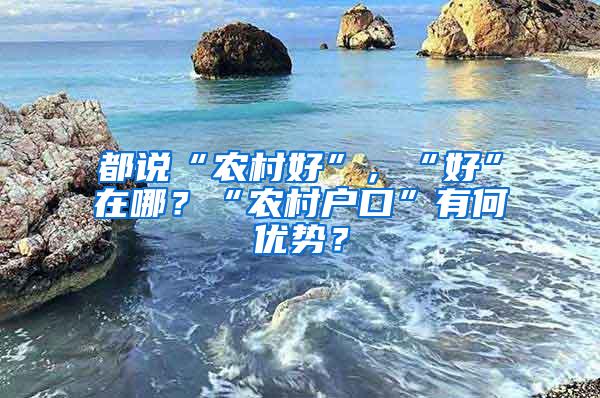 都说“农村好”，“好”在哪？“农村户口”有何优势？