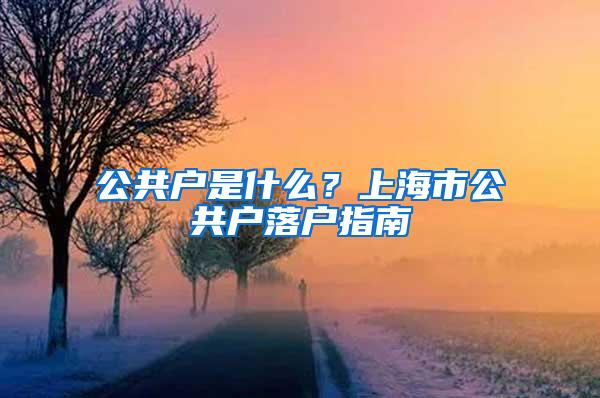 公共户是什么？上海市公共户落户指南