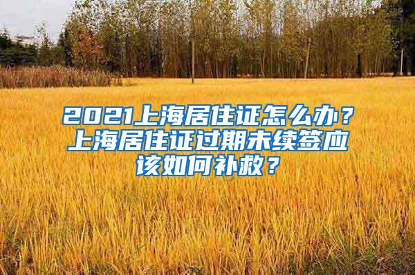 2021上海居住证怎么办？上海居住证过期未续签应该如何补救？