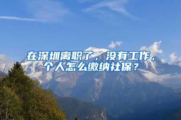 在深圳离职了，没有工作，个人怎么缴纳社保？