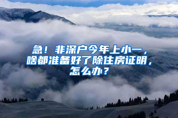 急！非深户今年上小一，啥都准备好了除住房证明，怎么办？