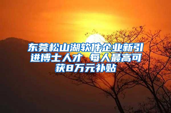 东莞松山湖软件企业新引进博士人才 每人最高可获8万元补贴