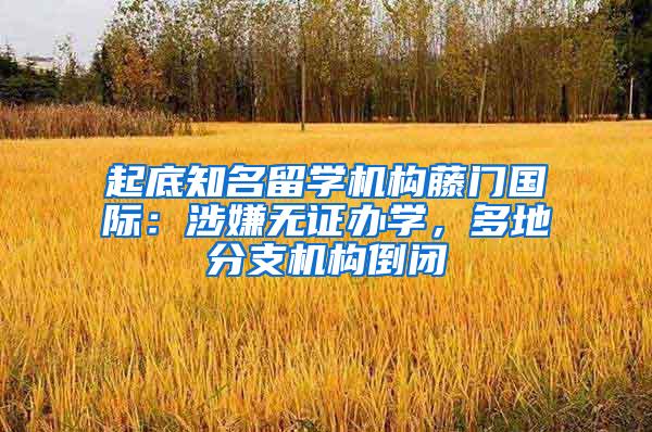 起底知名留学机构藤门国际：涉嫌无证办学，多地分支机构倒闭
