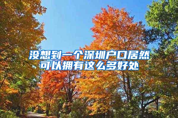 没想到一个深圳户口居然可以拥有这么多好处