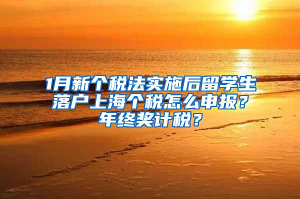 1月新个税法实施后留学生落户上海个税怎么申报？年终奖计税？