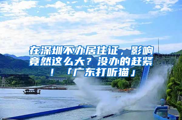 在深圳不办居住证，影响竟然这么大？没办的赶紧！「广东打听猫」