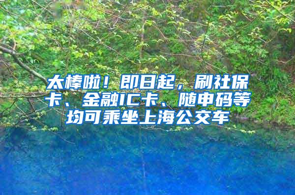 太棒啦！即日起，刷社保卡、金融IC卡、随申码等均可乘坐上海公交车