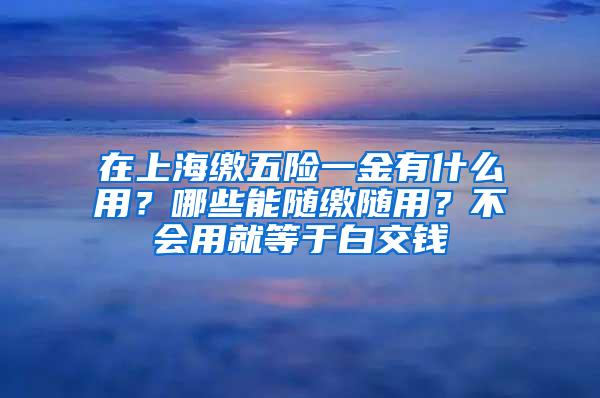 在上海缴五险一金有什么用？哪些能随缴随用？不会用就等于白交钱