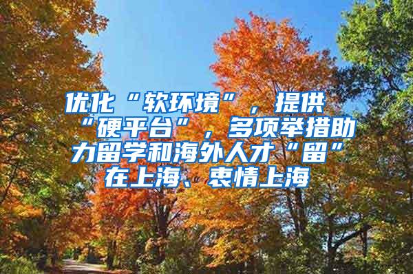 优化“软环境”，提供“硬平台”，多项举措助力留学和海外人才“留”在上海、衷情上海