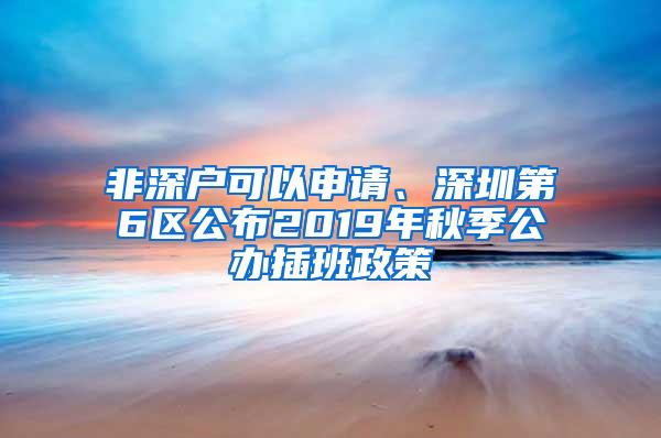 非深户可以申请、深圳第6区公布2019年秋季公办插班政策