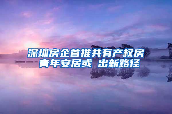 深圳房企首推共有产权房 青年安居或蹚出新路径