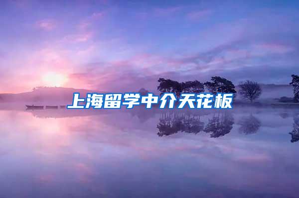 上海留学中介天花板