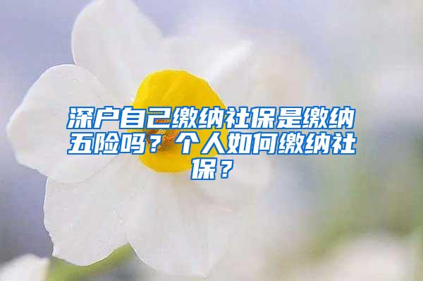 深户自己缴纳社保是缴纳五险吗？个人如何缴纳社保？