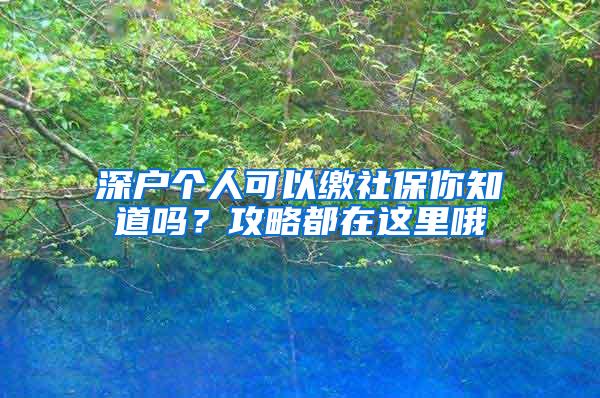 深户个人可以缴社保你知道吗？攻略都在这里哦