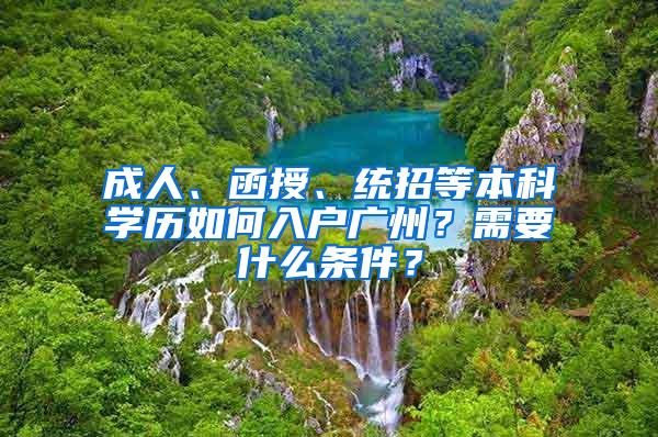 成人、函授、统招等本科学历如何入户广州？需要什么条件？