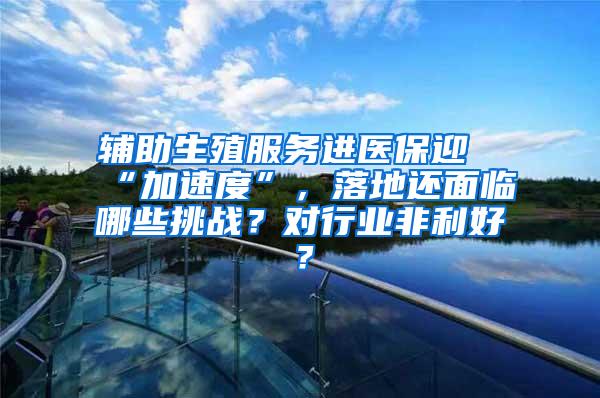 辅助生殖服务进医保迎“加速度”，落地还面临哪些挑战？对行业非利好？