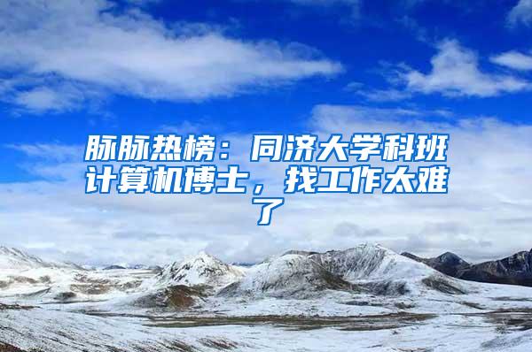 脉脉热榜：同济大学科班计算机博士，找工作太难了