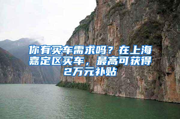 你有买车需求吗？在上海嘉定区买车，最高可获得2万元补贴