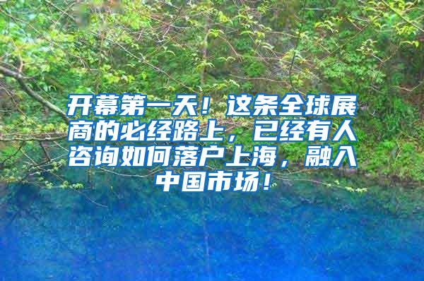 开幕第一天！这条全球展商的必经路上，已经有人咨询如何落户上海，融入中国市场！