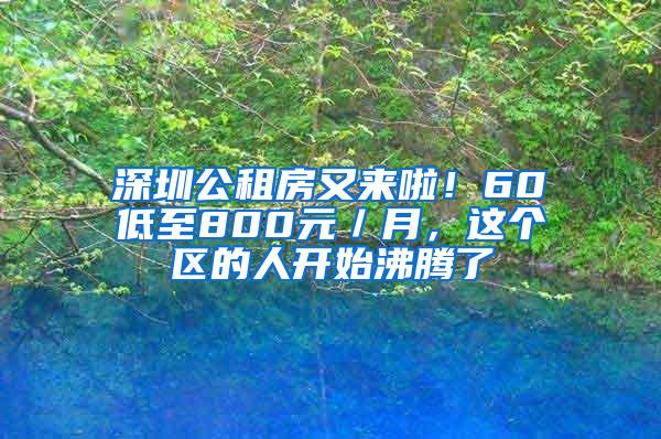 深圳公租房又来啦！60㎡低至800元／月，这个区的人开始沸腾了