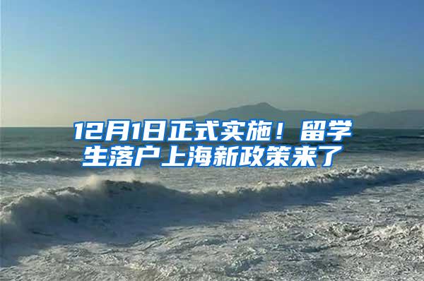 12月1日正式实施！留学生落户上海新政策来了