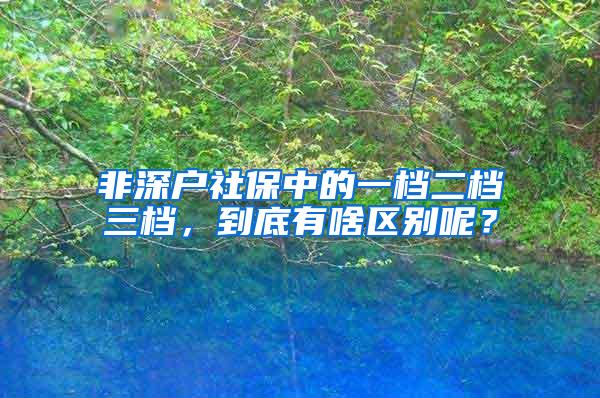 非深户社保中的一档二档三档，到底有啥区别呢？