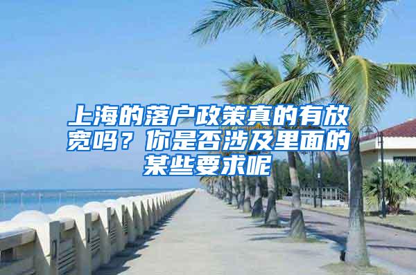 上海的落户政策真的有放宽吗？你是否涉及里面的某些要求呢