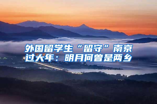 外国留学生“留守”南京过大年：明月何曾是两乡