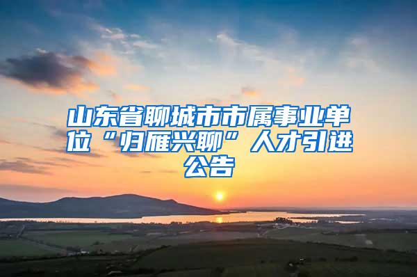 山东省聊城市市属事业单位“归雁兴聊”人才引进公告