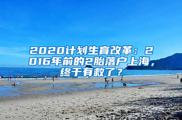 2020计划生育改革：2016年前的2胎落户上海，终于有救了？