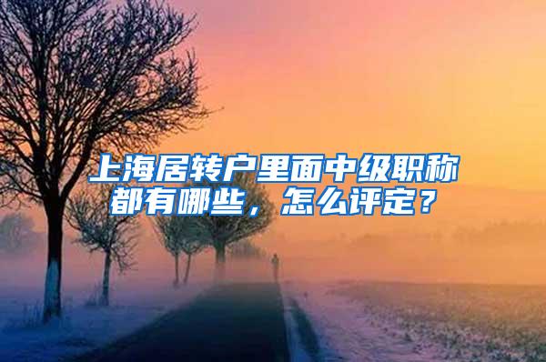 上海居转户里面中级职称都有哪些，怎么评定？