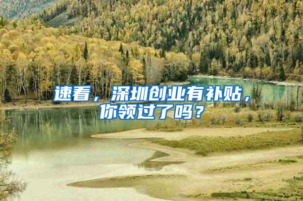 速看，深圳创业有补贴，你领过了吗？