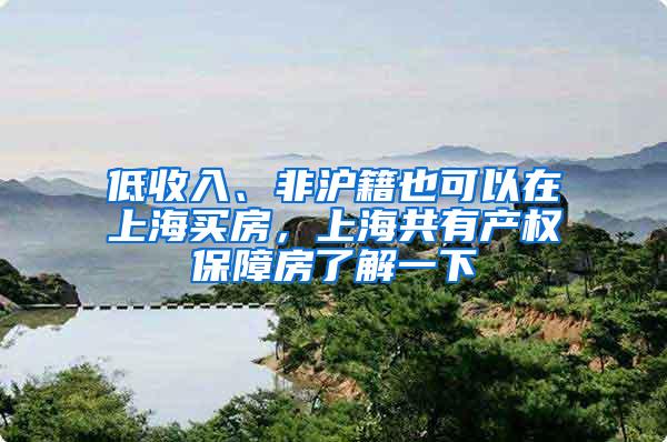 低收入、非沪籍也可以在上海买房，上海共有产权保障房了解一下