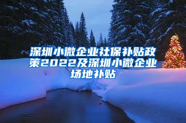 深圳小微企业社保补贴政策2022及深圳小微企业场地补贴