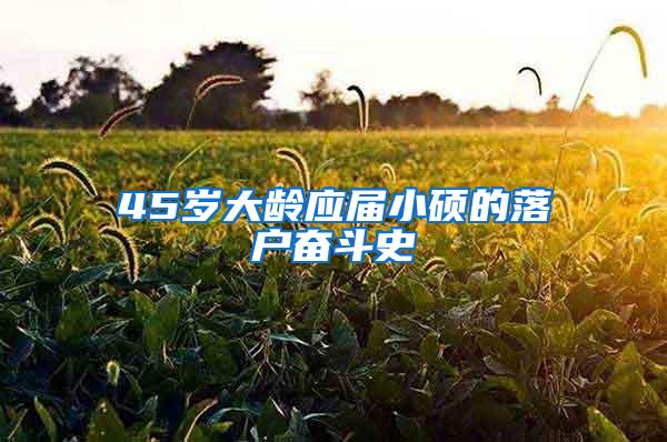 45岁大龄应届小硕的落户奋斗史