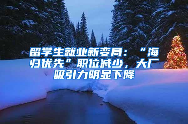 留学生就业新变局：“海归优先”职位减少，大厂吸引力明显下降