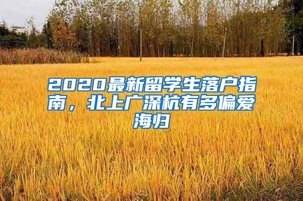 2020最新留学生落户指南，北上广深杭有多偏爱海归