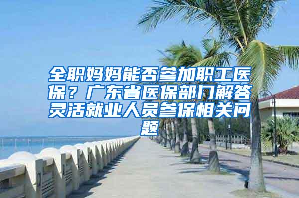 全职妈妈能否参加职工医保？广东省医保部门解答灵活就业人员参保相关问题