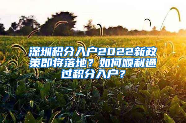 深圳积分入户2022新政策即将落地？如何顺利通过积分入户？