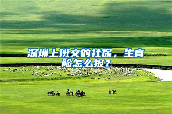 深圳上班交的社保，生育险怎么报？
