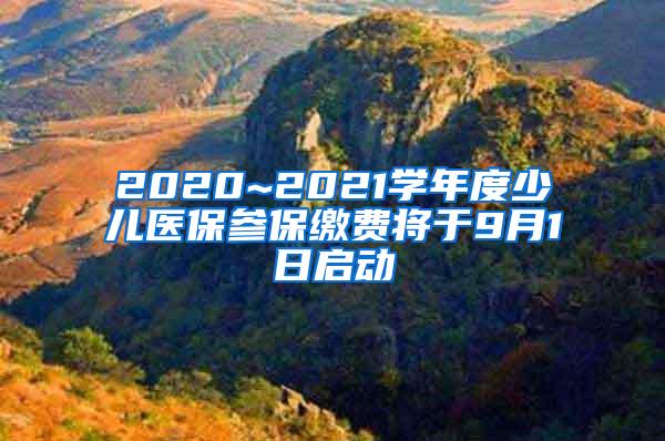 2020~2021学年度少儿医保参保缴费将于9月1日启动