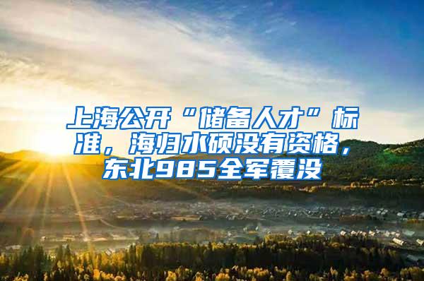 上海公开“储备人才”标准，海归水硕没有资格，东北985全军覆没