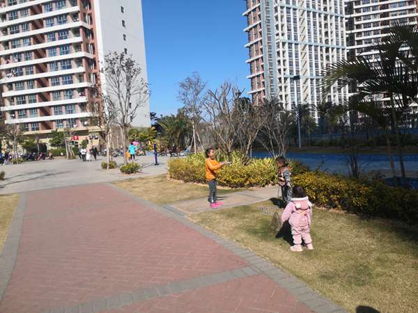 深圳入户地址填哪里