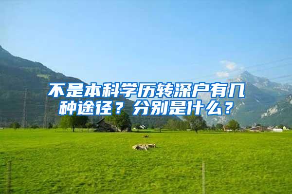 不是本科学历转深户有几种途径？分别是什么？