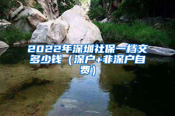2022年深圳社保一档交多少钱（深户+非深户自费）