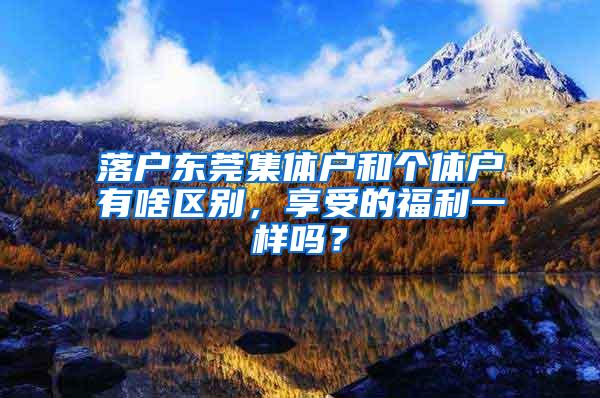 落户东莞集体户和个体户有啥区别，享受的福利一样吗？