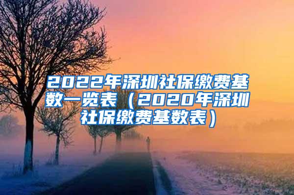 2022年深圳社保缴费基数一览表（2020年深圳社保缴费基数表）