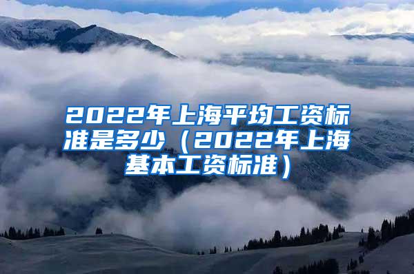 2022年上海平均工资标准是多少（2022年上海基本工资标准）