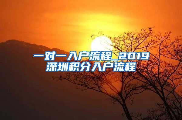 一对一入户流程_2019深圳积分入户流程