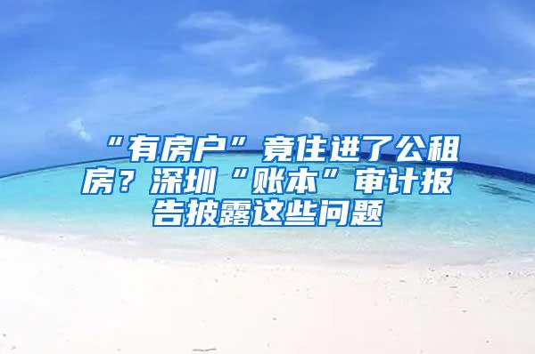 “有房户”竟住进了公租房？深圳“账本”审计报告披露这些问题